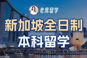 新加坡留学本科申请流程：2025 年最新版攻略来啦插图